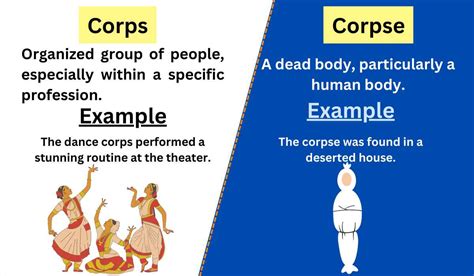 a corps parfait|corps parfait meaning.